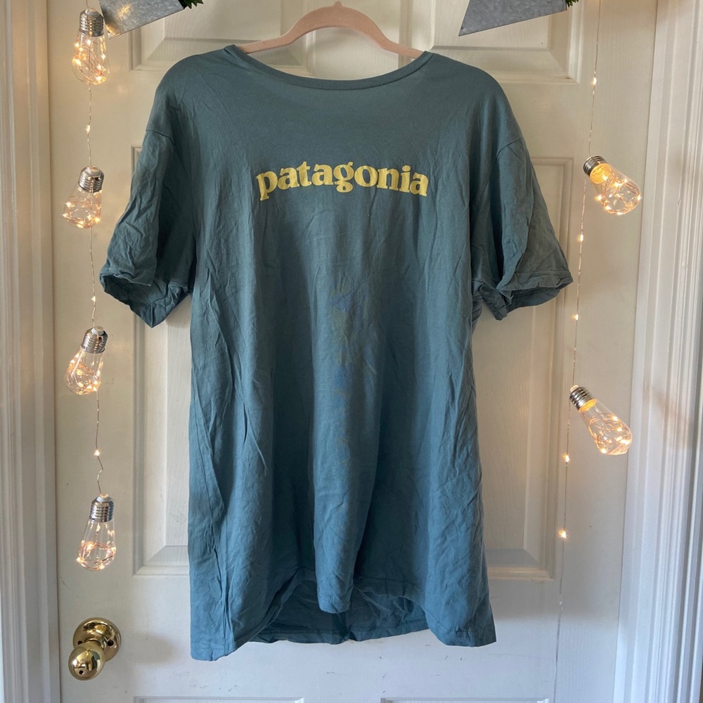 Patagonia T-shirt
